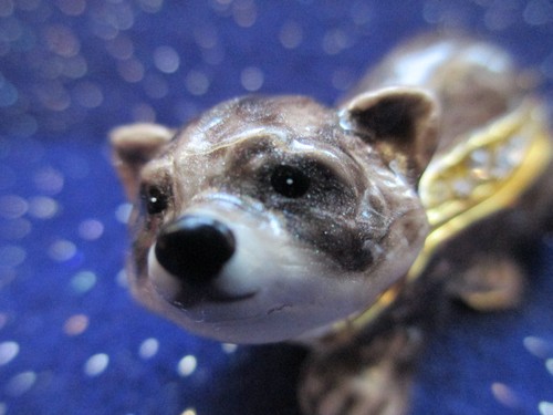 61174 DANIEL ~ THE BABY RACCOON ~JEWELED & ENAMEL TRINKET BOX ~ MINIATURE - Picture 3 of 3