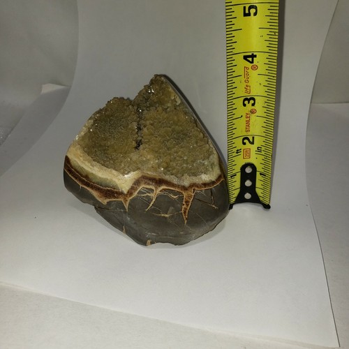 1.9 LBS. Septarian Nodule 3.5"x3.5"x4" - Picture 4 of 12