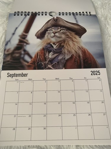 2025 Cats Doing Things Calendar Calendar Wall Calendar Office - Afbeelding 9 van 12
