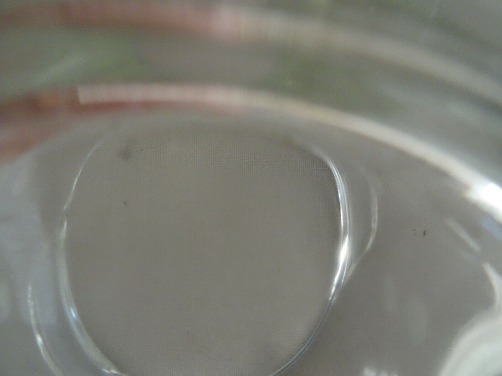 Picture 8 of 11