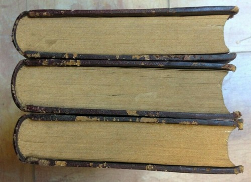 Poésies et Nouvelles (3 volumes) de Mme D'ARBOUVILLE 1855 Librairie d'Amyot - Imagen 3 de 4