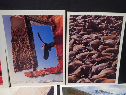 MYRON ROSENBERG ART PHOTOGRAPHY INTERPRETIVE CARD (25) Images Alaska 1983 - Picture 3 of 11
