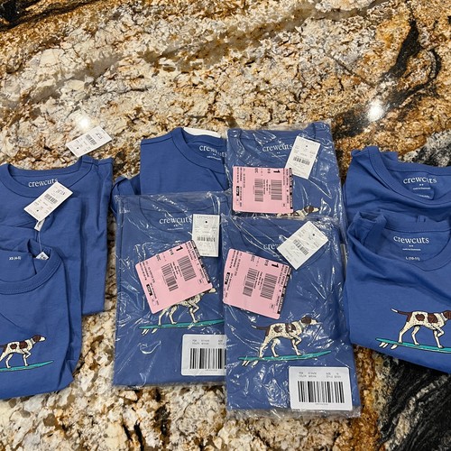 NWT J Crew Blue Boys' Surfer Dog Graphic Tee - SIZE XS - Picture 8 of 9