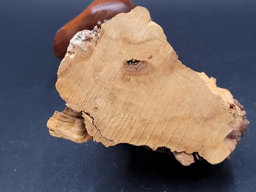Vintage Wood Cardinal On Driftwood 70s Carved Retro Nature - Picture 6 of 8