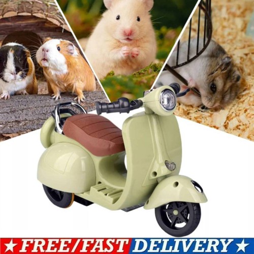 MINI Elektromotorrad Spielzeug Hamster Motorrad Autos Roller Spielzeug für Meerschweinchen - Bild 1 von 11