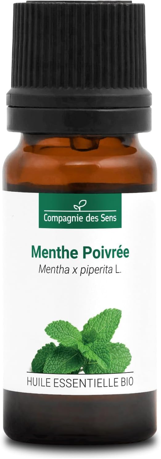 Foto 4 di 12
