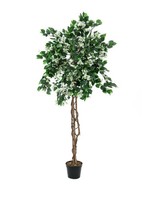 Artplants KüNstliche Bougainvillea, 1000 BläTter, Weiß, 150Cm