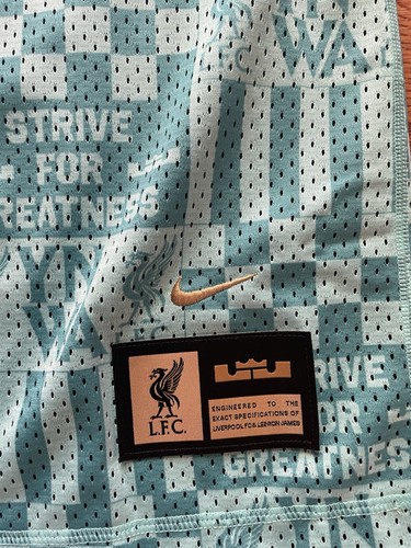 NIKE EXCLUSIVE LFC LIVERPOOL x LEBRON JAMES DNA SOCCER/BASKETBALL JERSEY BOYS L - Picture 3 of 6