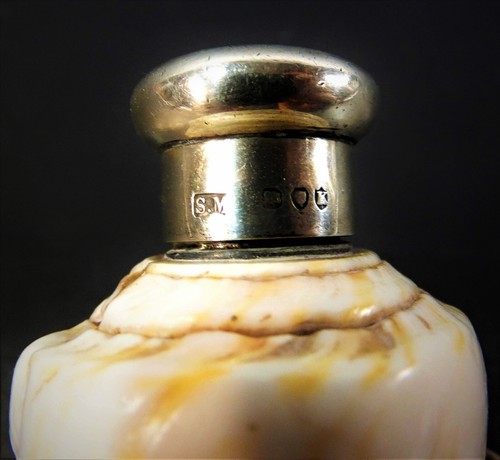 UNUSUAL 19th. C SAMPSON MORDEN STERLING SILVER MOUNTED SEA SHELL SCENT BOTTLE - Picture 5 of 8