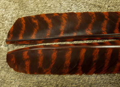 NATURE'S SPIRIT 1 PAIR BARRED TURKEY BIOTS QUILLS FEATHERS FLY TYING PICK COLOR