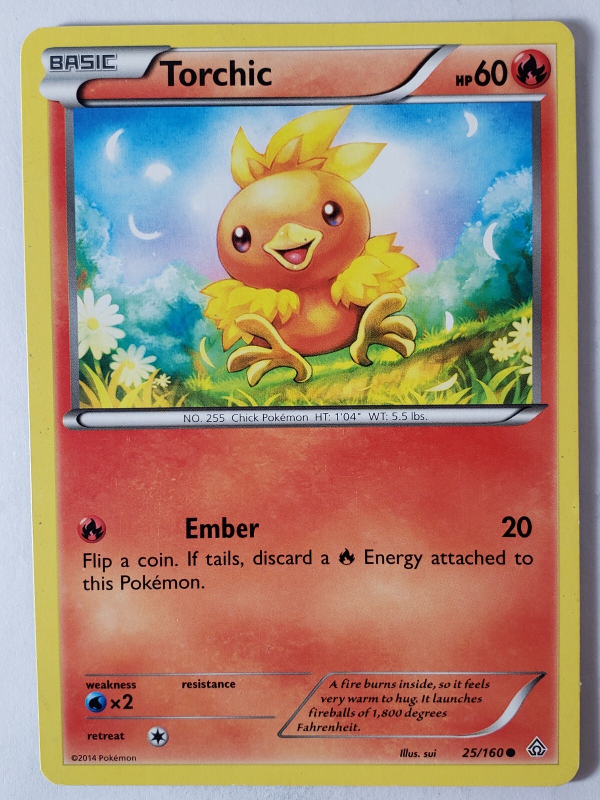 Torchic 25/160 LP - Primal Clash Pokemon Card - Sui Art