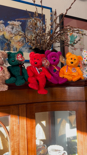 TY Beanies choose small bear discounts available for quantity; video to watch(2) - Video 1 of 1