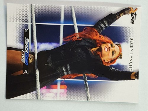 You Pick Your Cards - WWE Diva Smackdown RAW NXT - Wrestling Card Selection - Picture 94 of 119
