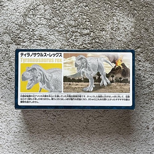 White Ania Tyrannosaurus Rex Fukui Prefectural Dinosaur Museum Original Model - Picture 9 of 12