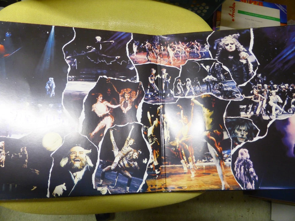 Schallplatte Doppel-LP - Cats - Musical mit Programmheft - Bild 3 von 4