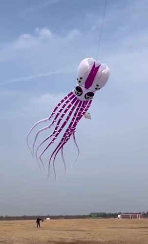 Drache Riesenkrake 18m, Lila, Rarität auf eBay - Video 1 von 1