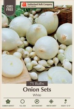 White Onion Sets - 75 Bulbs - 14/21mm Bulbs