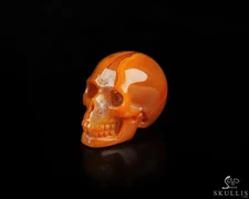 0.7" Empire Red Agate Hand Carved Crystal Skull, Realistic, Crystal Healing