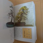 Picture 8 of 12