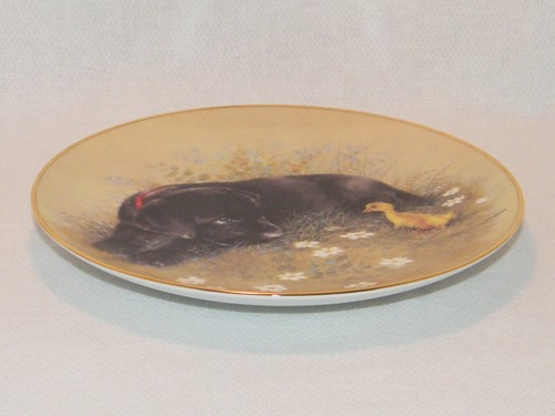 Taking a Gander First Impressions Collector Plate Knowles China / Black Labrador - Picture 7 of 10