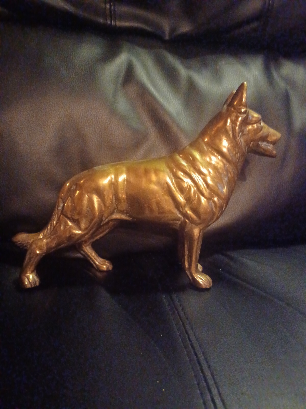 Picture 5 of 5