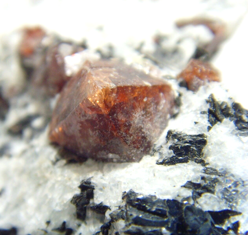 344 Karat Zirkon Kristall Mineral Präparat in Matrix Mutter Bergheiler 53184 - Bild 8 von 10