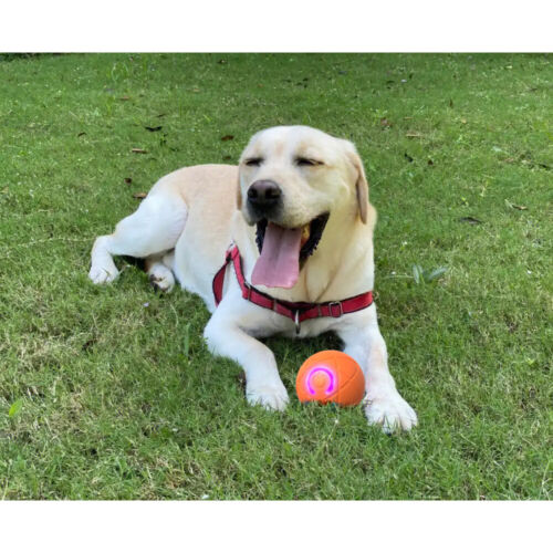 Shaky Ball Toy for Dogs Shaking Dog Ball Vibrating Ball for Dogs 2025π₯ - Picture 6 of 13
