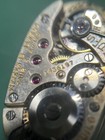 Bild 10 von 13