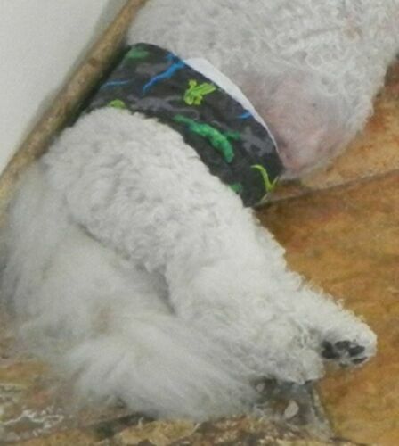 Pañales PEQUEÑOS envueltos con banda para el vientre para perro cachorro forrados de franela masculina PATAS 10" 10,5" 11,5" - Imagen 4 de 5