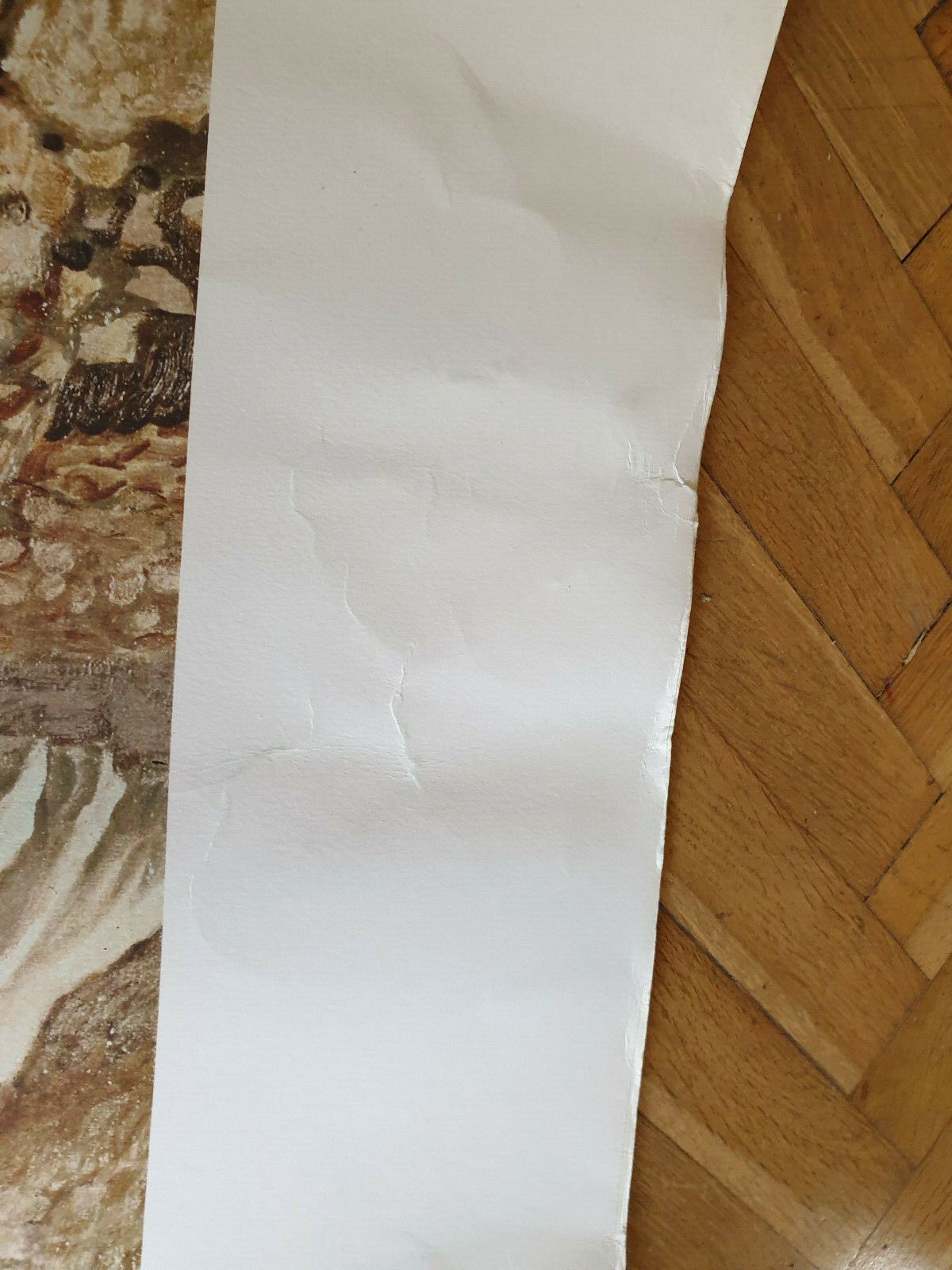 Picture 6 of 8
