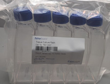 FISHERBRAND 75cm TISSUE CULTURE FLASKS /VENTED CAP (10) FB012937