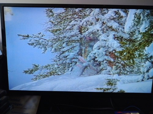 Maltese Flamingo The Ski Movie That Flew The Coop DVD Out Of Print Tested - Picture 5 of 11
