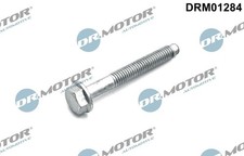 DR.MOTOR AUTOMOTIVE Schraube Einspritzdüsenhalter DRM01284 für OPEL ASTRA J