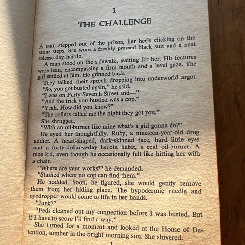 The Junkie Priest- John D. Harris, 1965, Vintage Paperback - Imagen 18 de 21