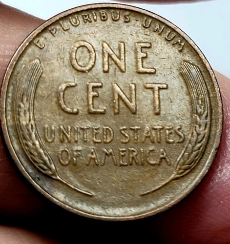 1930-p 1930-d 1931-p Lincoln Wheat Cents Lot of 3 Coins - Picture 6 of 8