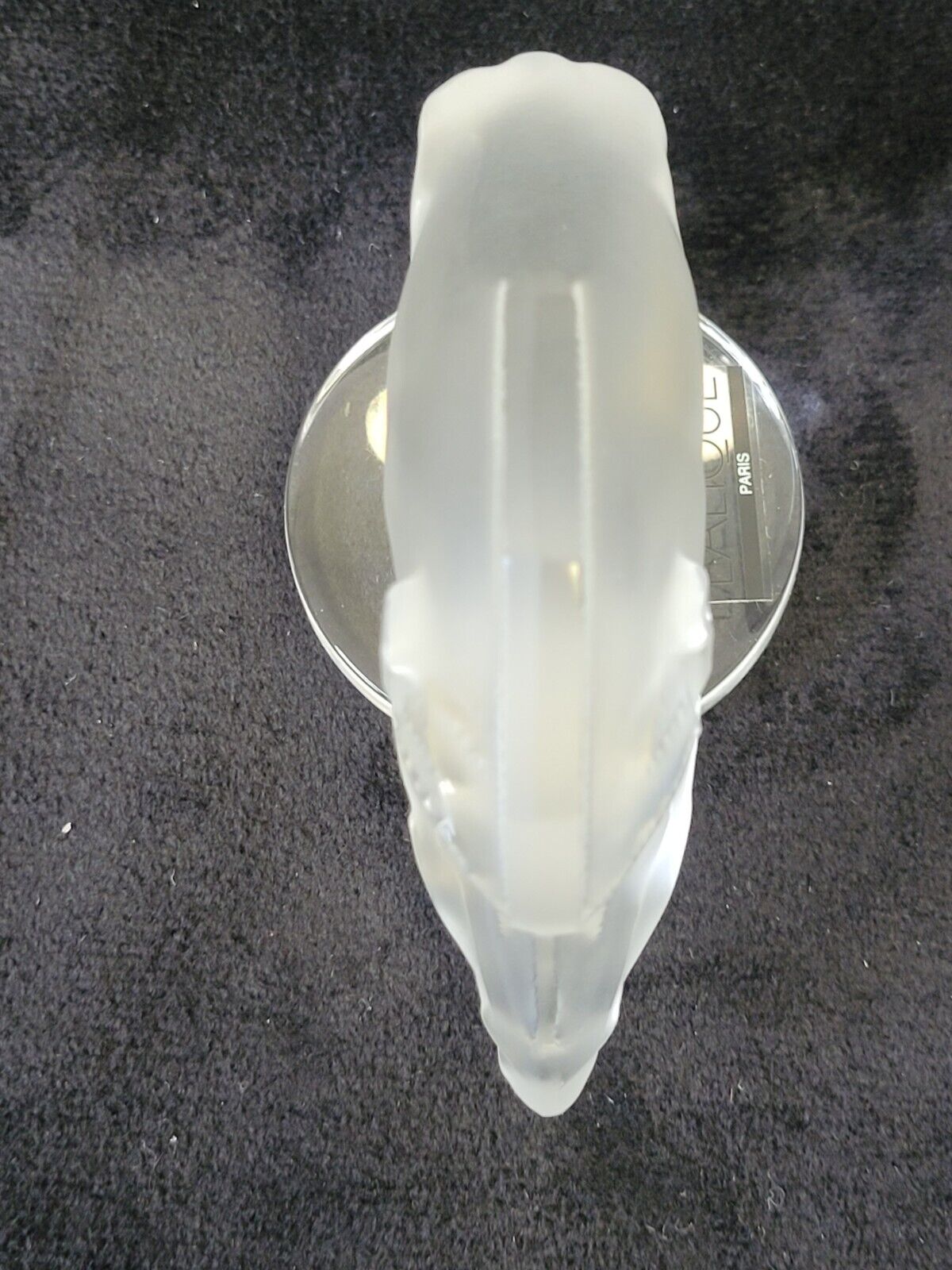 Picture 6 of 6