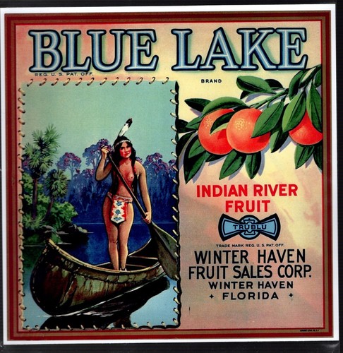 Collection of FRUIT CRATE LABELS with NATIVE AMERICANS Reproductions - Picture 3 of 11