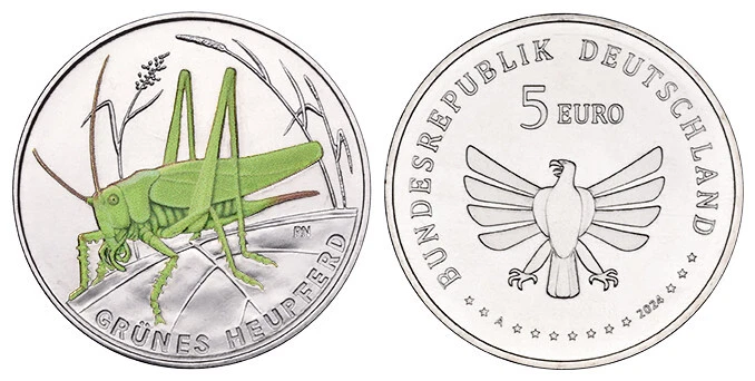 5 EURO 2024 "GRÜNES HEUPFERD" IN PASSENDER MÜNZKAPSEL