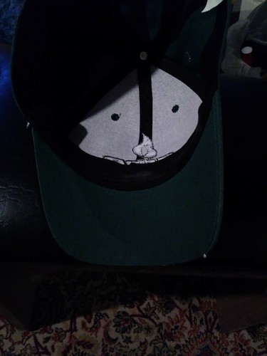 DALE EARNHARDT Jr #88 Amp Energy Hendrick Motors Team Issue Hat - Picture 6 of 9