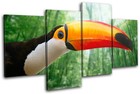 Toucan Bird Animals MULTI CANVAS WALL ART Picture Print VA
