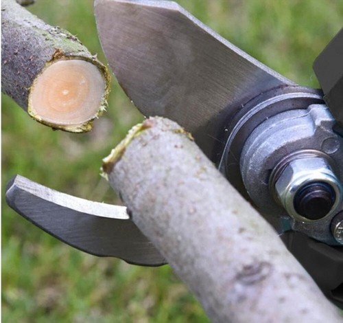 Elektrisch Akku Astschere Gartenschere Strauchschere Stschneider für 18V Makita - Bild 5 von 12