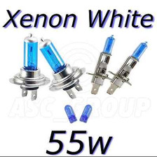 Ampoule Ssangyong REXTON