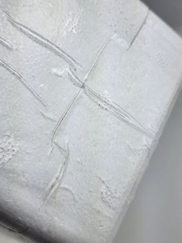 Nuevo sellado Dale Jr. #88 Honoring Our Soldiers 2010 Flashcoat plateado fundido a presión 1/24 Foto 4 de 4