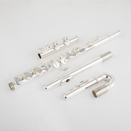 16 Closed Hole Keys Silver Plated 100% New Alto Flute G Tune