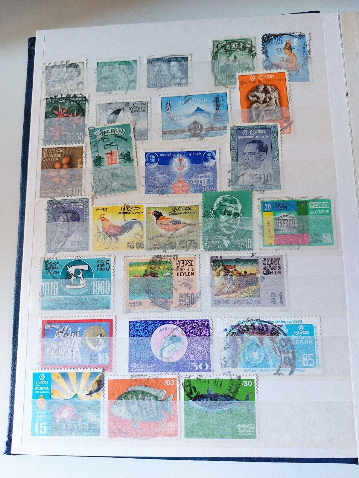 Picture 4 of 24