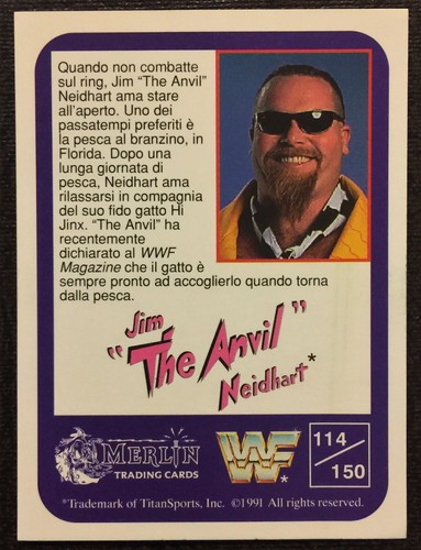 1991 Merlin Italian WWF WWE WcW Wrestling Cards Finish Complete Set - YOU PICk - Bild 80 von 113