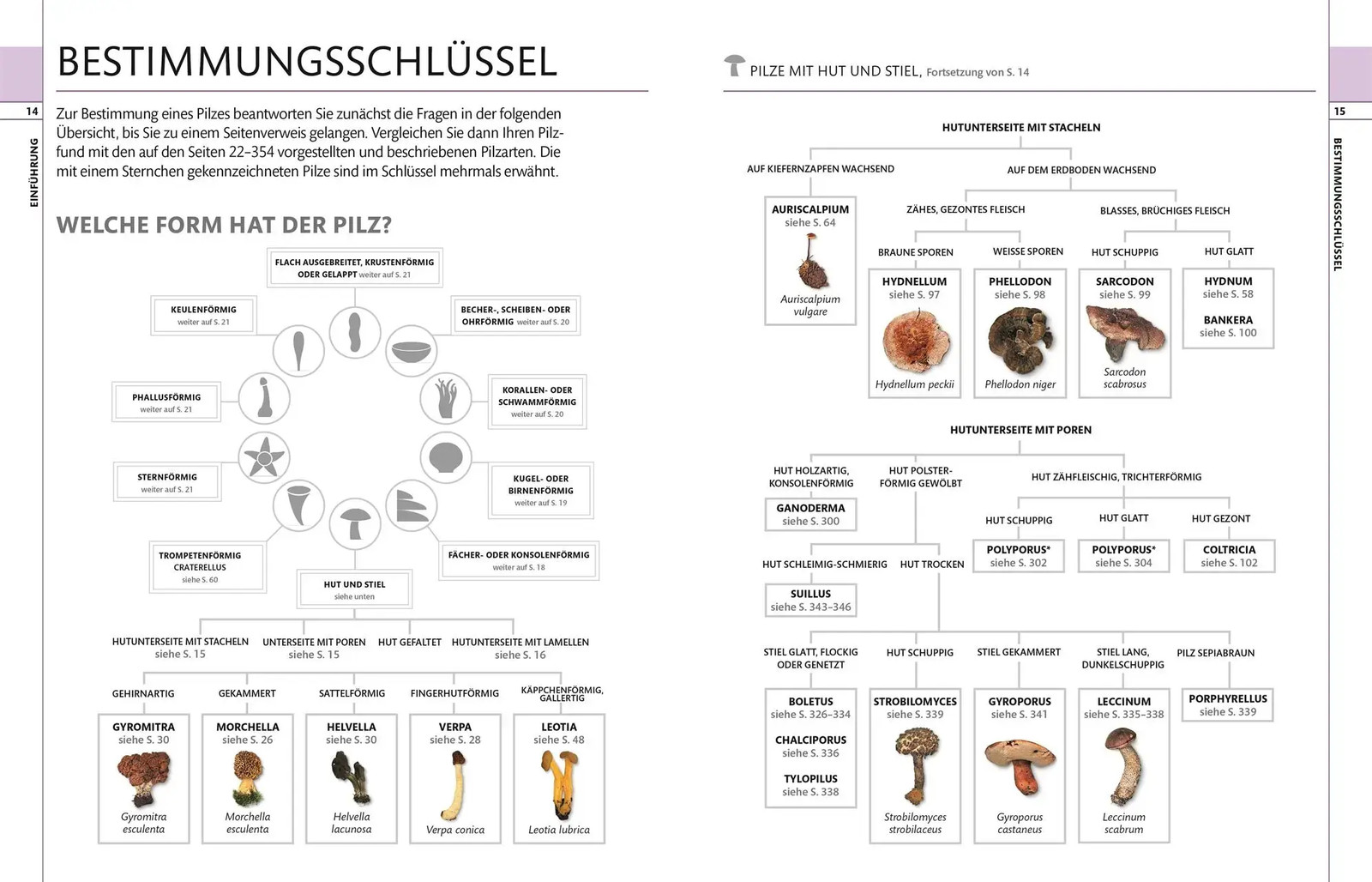 Bild 4 von 10