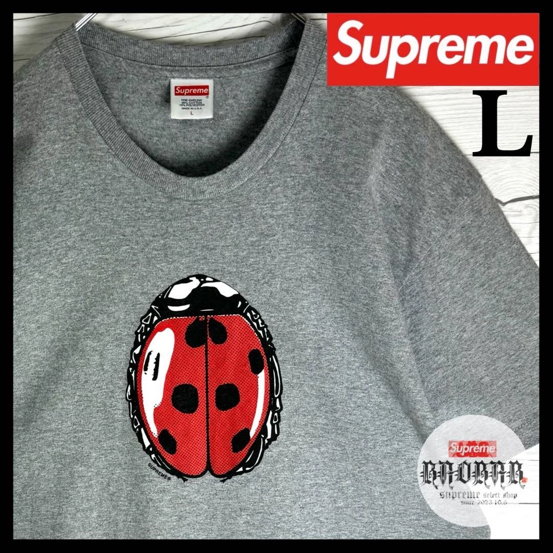 T shirt homme Supreme L Vhtf Theadybug taille T Dieu difficile à obtenir gris mode iconique