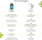 Foto 7 di 12