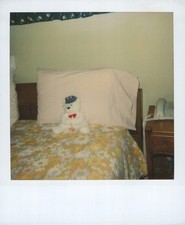 Old Vintage Photo COLOR POLAROID TEDDY BEAR STUFFED ANIMAL ON BED BEDROOM